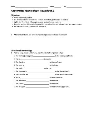 Anatomical Terminology Worksheet - Blank Fillable Template | Fill Out ...
