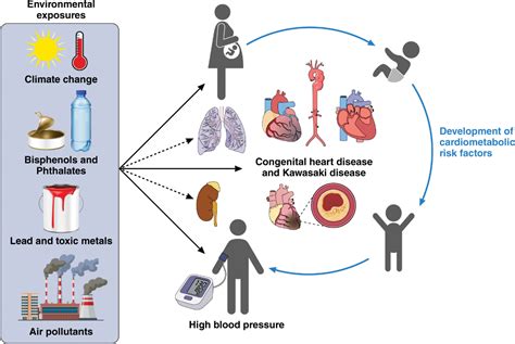 Environmental Exposures and Pediatric Cardiology: A Scientific Statement From the American Heart ...