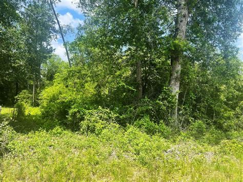 37 acres in Tyler County, Texas
