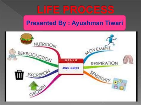 Life Process Class 10 CBSE 的图像结果