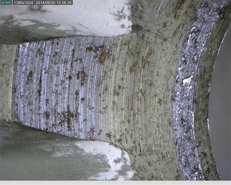 Image result for Magnification Examples