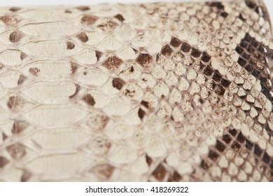 Image result for Embroider Python Skin