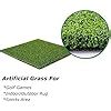 Buy LITA Golf Putting Green Hitting Mats,Golf Training Mats ...