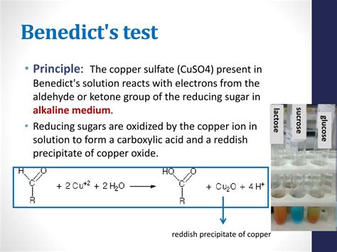 PPT - Qualitative tests of Carbohydrate PowerPoint Presentation, free ...