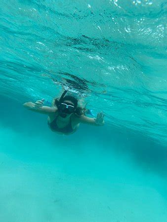 Cleves' Tours and Adventures (Roatan) - 2020 What to Know Before You Go ...