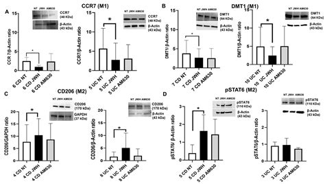 Effects of CB2 Receptor Modulation on Macrophage Polarization in ...