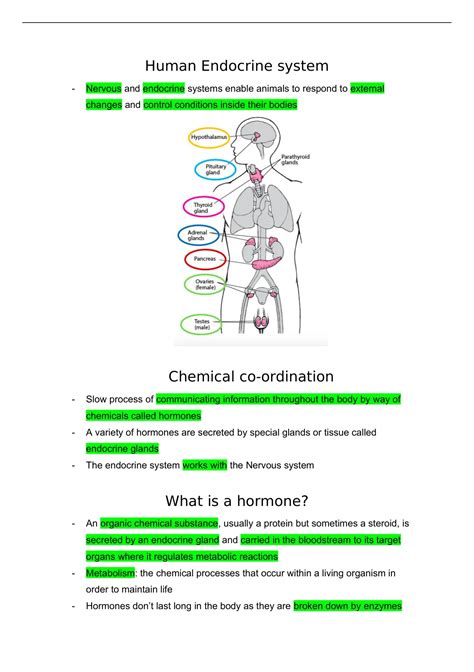 Image result for Endocrine System Grade 12 Lesson