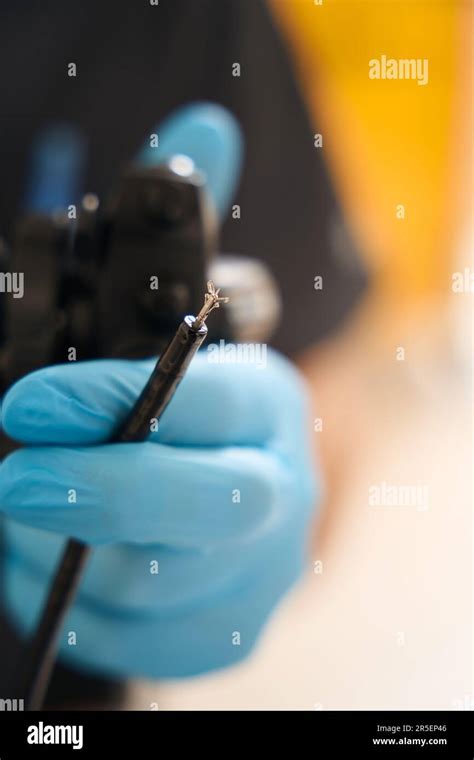 Image result for Tissue Sample Receiving