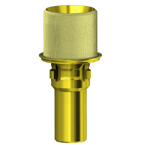 AURUMBase® Kompatibel Mit Camlog®