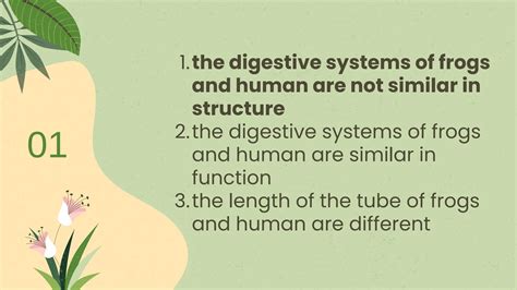 DIGESTIVE SYSTEM OF FROGS AND HUMANS.pdf