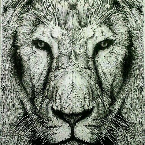 Image result for Hyper Realistic Lion Tutorial