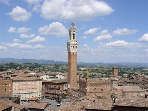 Image result for Python Siena