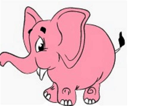 ELEPHANT ROCK (Updated 2026) All You Need to Know BEFORE You Go (with ...