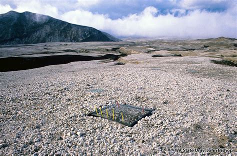 Pyroclastic Flow MT St. Helens 的图像结果
