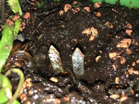 Image result for Arduino Feuchtigkeitssensor