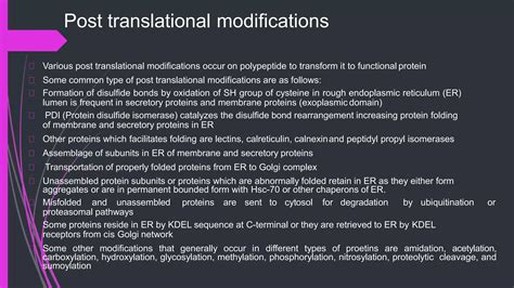 Image result for Post-translational regulation Post-translational Modification