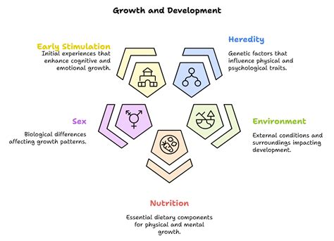 Notes: Concept of Development and Its Relationship with Learning ...