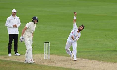 Twitter reacts to 'Mr. Perfect' Michael Gough getting yet another LBW ...