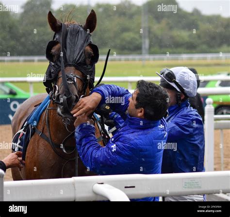 Wolverhampton Wolves Races 的图像结果