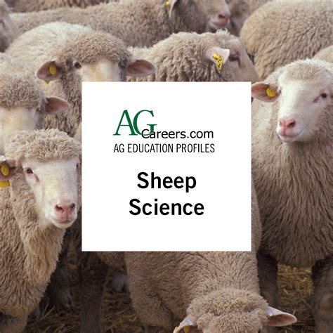 Image result for Sheep Science Lab