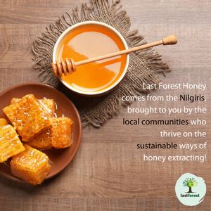 Nilgiri Honey Monthly Subscription 500g – Last Forest
