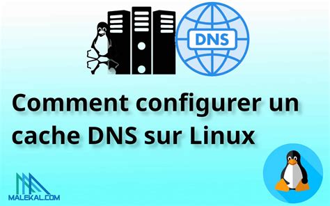 Configurer un cache DNS sur Linux avec systemd-resolved, dnsmasq ou ...
