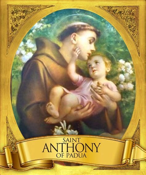 Anthony of Padua | Saint anthony of padua, Padua, Saint anthony
