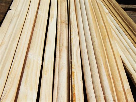 Pinewood Applications: Wooden Packaging, Plywood, Molding, Margin ...