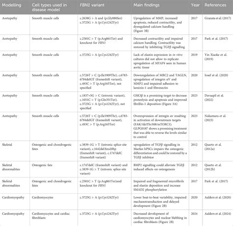 Frontiers | Human stem cell models for Marfan syndrome: a brief ...