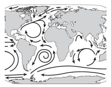 Water Current 的图像结果
