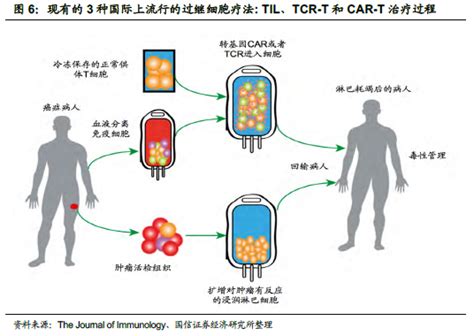 【研报】过继细胞疗法-转基因免疫细胞疗法（55页） | 乐晴智库