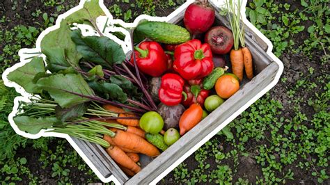 Grow Spring Vegetables 的图像结果