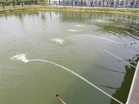 Image result for PVC Pipe Line