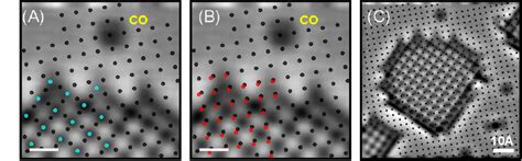 Image result for Scale Bar Magnification