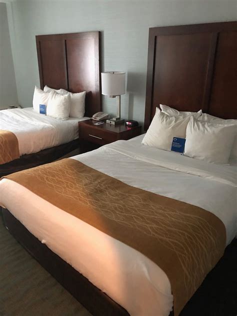 COMFORT INN MONTICELLO (Charlottesville) - Hotel Reviews & Photos ...