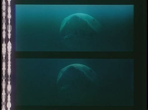Jaws 3 Exploding Shark 的图像结果