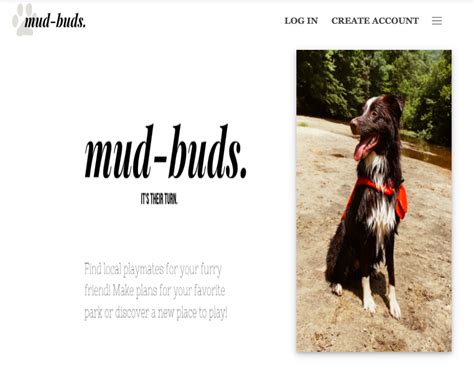 Mud Python 的图像结果