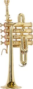 Sound Saga Piccolo Trumpet With All Accessories Including Mouthpiece ...