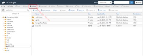 cPanel File Manager 的图像结果