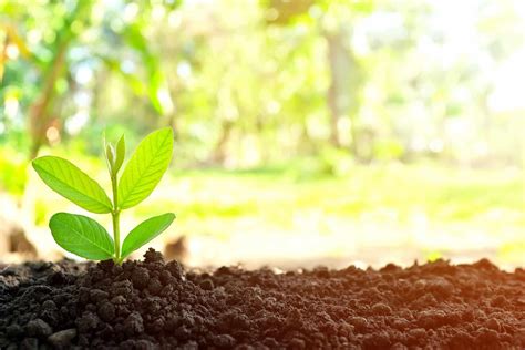 Welcome to - Glenwood State Bank - Frontier Savings Bank