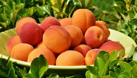 The Top Nutrients You Can Get from One Peach - AskMeAll