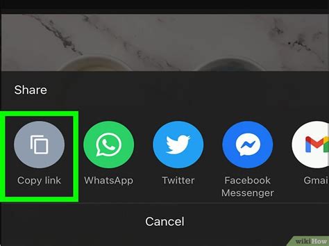 How to Copy Video URL 的图像结果