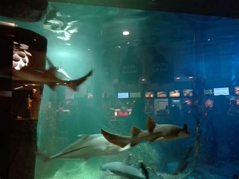 LUXOR FILMPALAST (2026) All You Need to Know BEFORE You Go (with Photos ...