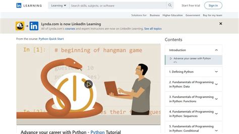 Best Video Course for Python 的图像结果