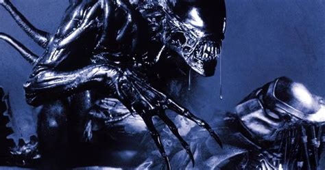 Image result for Alien vs Predator Cartoon