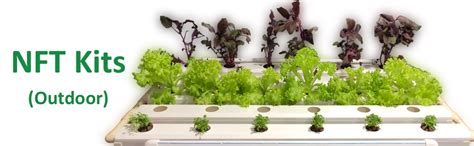 City Greens 40 Planter Outdoor Hydroponic Kit for Home, Garden, Small ...