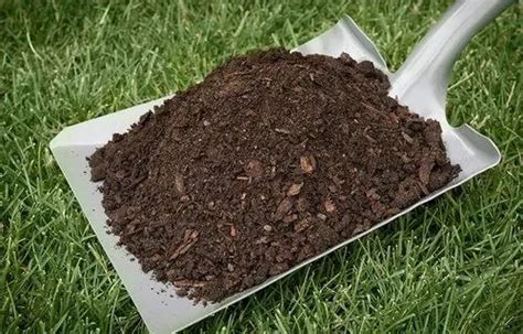Cow Dung Manure Manufacturer Exporter Supplier from Tiruvallur India