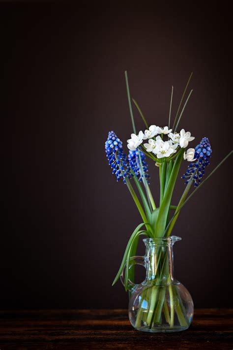 Free Images : plant, white, glass, vase, decoration, green, blue, close ...