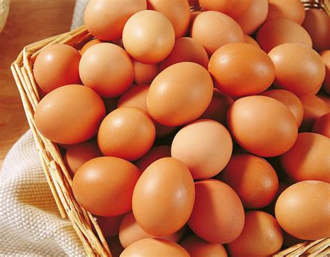 土鸡蛋和普通鸡蛋到底有什么区别 - 知乎