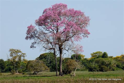 HOTEL FAZENDA SANTA TEREZA (Pixaim) - Hotel Reviews & Photos - Tripadvisor